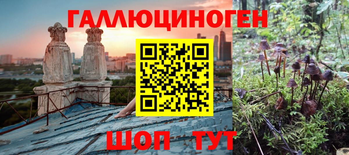 Галлюциногенные грибы MAGIC MUSHROOMS Карталы