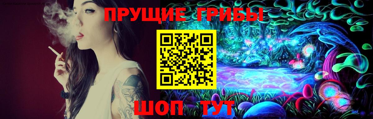 Карталы  Псилоцибиновые грибы мицелий  Вход с VPN 