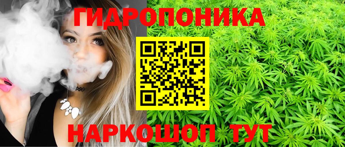 Шишки марихуана OG Kush Карталы